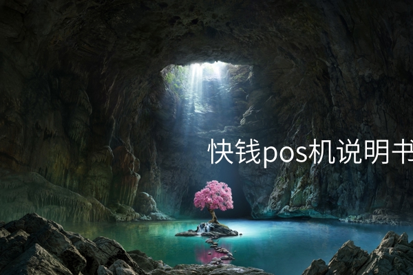 全面了解快钱POS机