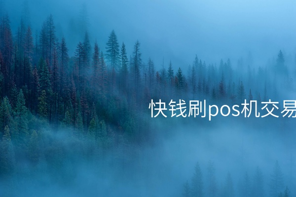 快钱繁忙：刷POS机交易的安全增加