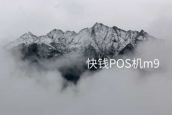 快钱POS机M9 —— 高性能安全的便捷支付解决方案