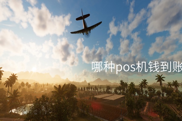 振兴零售业：POS机钱到账更快