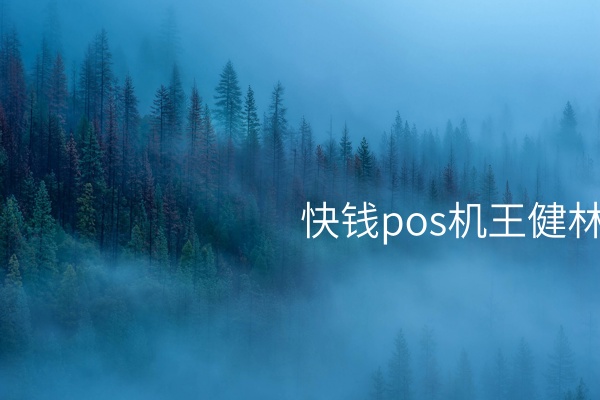 快钱pos机王健林：移动支付发展的盛世