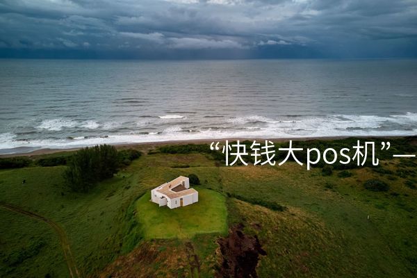 “快钱大pos机”—高效安全的收单处理系统